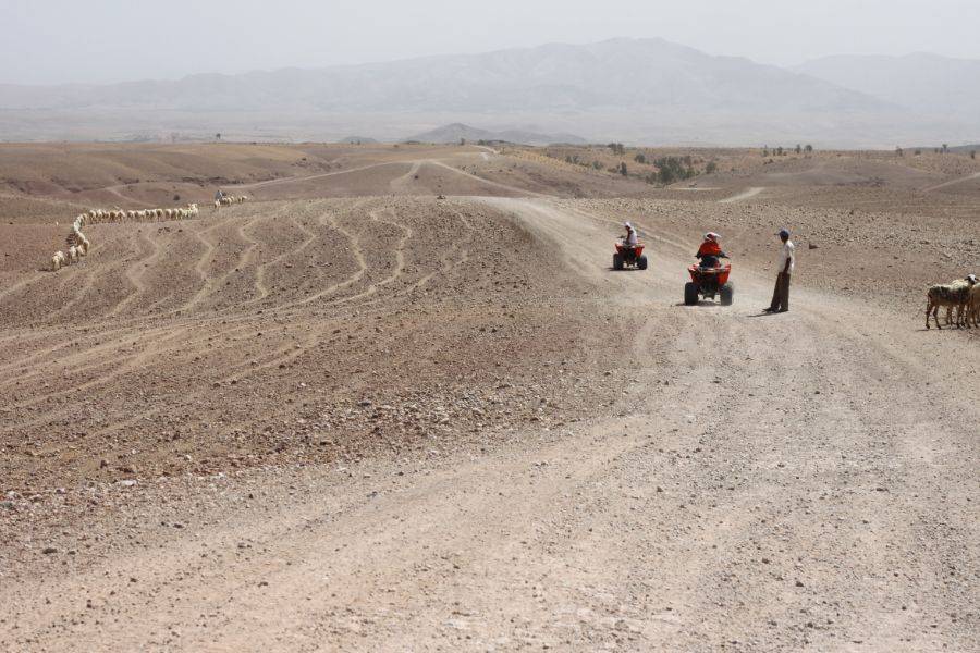 Quad in Agafay Rocky Desert vanuit Marrakech