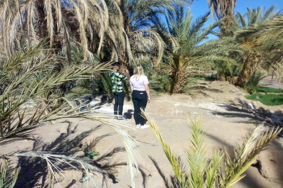 Ouarzazate, Kasbah Ait ben haddou & Oasis Fint 2 daagse tour