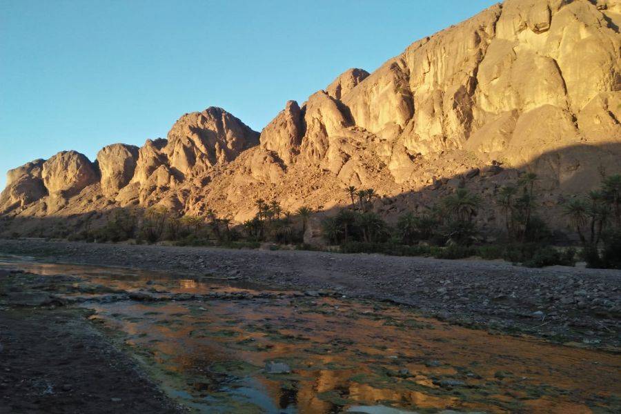 Ouarzazate, Kasbah Ait ben haddou & Oasis Fint 2 daagse tour