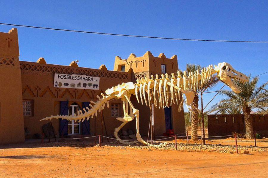 Merzouga 3-daagse woestijnreis van Marrakech naar Fez