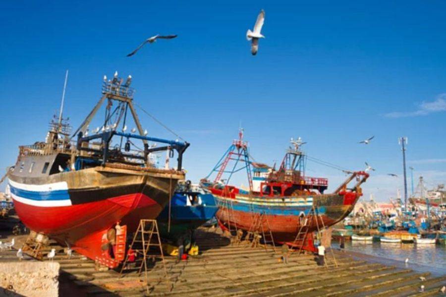 Reis 2 dagen naar de prachtige stad Essaouira (Mogador)