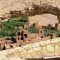 Ouarzazate, Kasbah Ait ben haddou & Oasis Fint 2 daagse tour