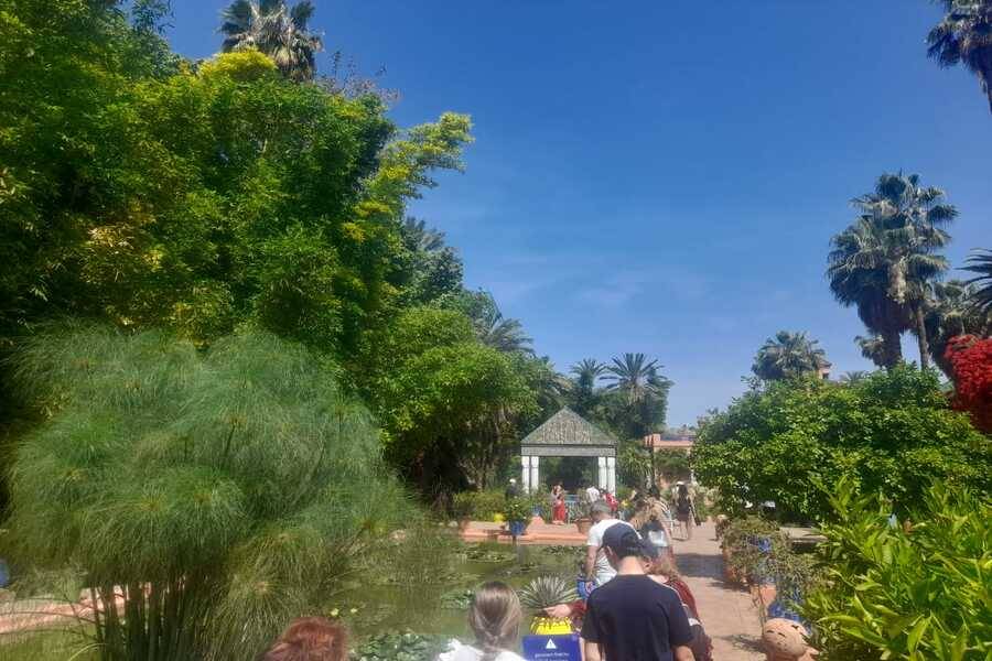 Een prachtige tocht met koets en bezoek aan Majorelle Garden