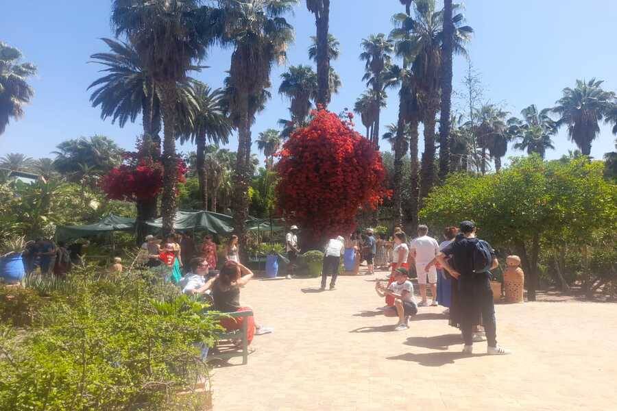 Een prachtige tocht met koets en bezoek aan Majorelle Garden