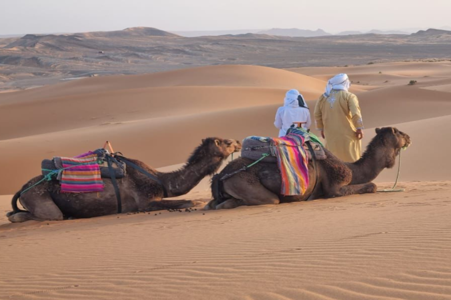 Merzouga 3-daagse woestijnreis van Marrakech naar Fez