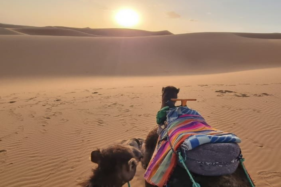 Merzouga 3-daagse woestijnreis van Marrakech naar Fez