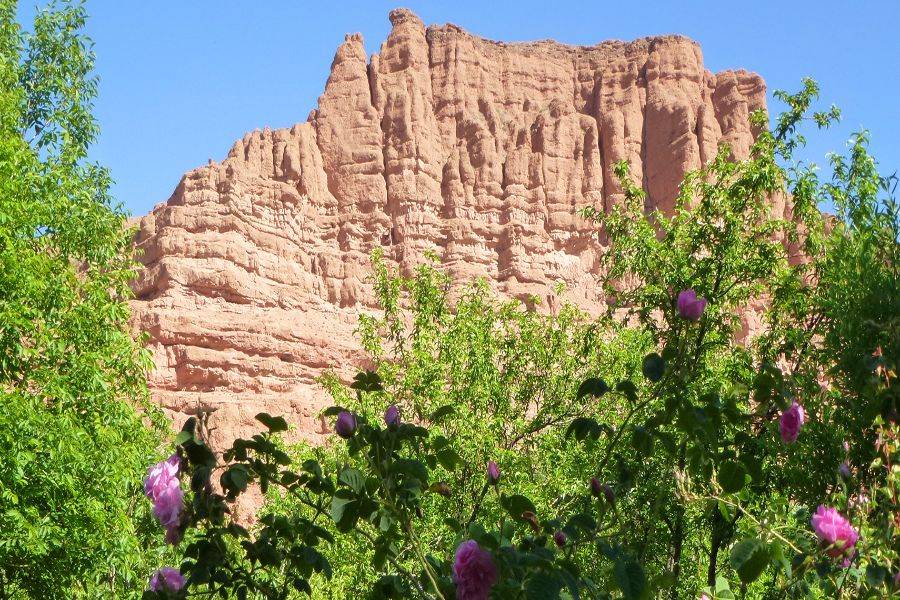 Fez 4-daagse woestijntour naar Marrakech