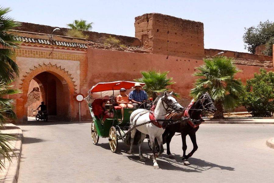Mooie paardenkoets in Marrakech