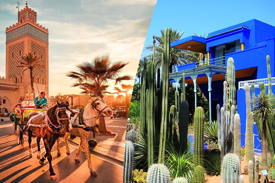 Een prachtige tocht met koets en bezoek aan Majorelle Garden