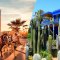 Een prachtige tocht met koets en bezoek aan Majorelle Garden