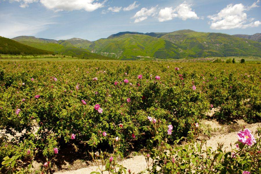 Fez 4-daagse woestijntour naar Marrakech
