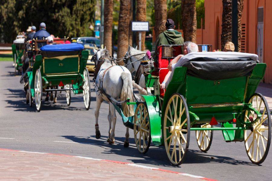 Een prachtige tocht met koets en bezoek aan Majorelle Garden
