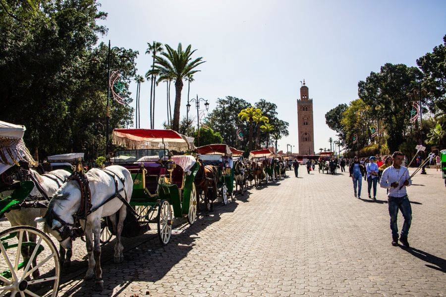 Een prachtige tocht met koets en bezoek aan Majorelle Garden
