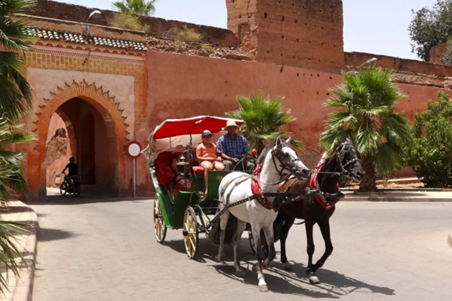 Een prachtige tocht met koets en bezoek aan Majorelle Garden