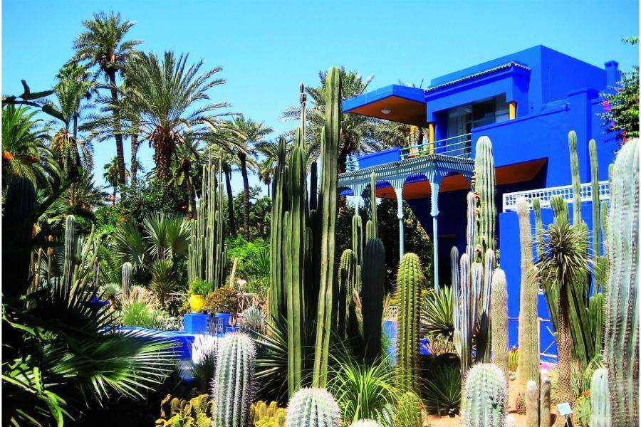 Een prachtige tocht met koets en bezoek aan Majorelle Garden