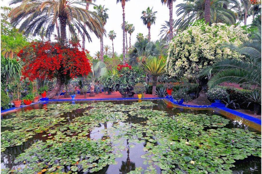 Een prachtige tocht met koets en bezoek aan Majorelle Garden