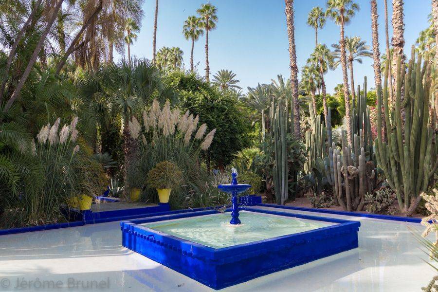 Een prachtige tocht met koets en bezoek aan Majorelle Garden