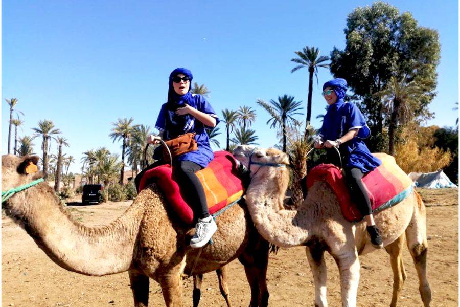 Kameelrijden in de Palmeraie van Marrakech