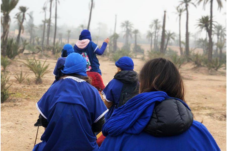 Kameelrijden in de Palmeraie van Marrakech