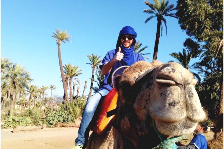 Kameelrijden in de Palmeraie van Marrakech