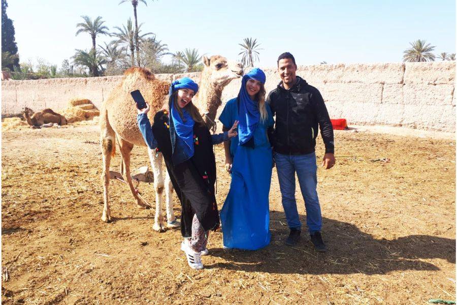 Kameelrijden in de Palmeraie van Marrakech