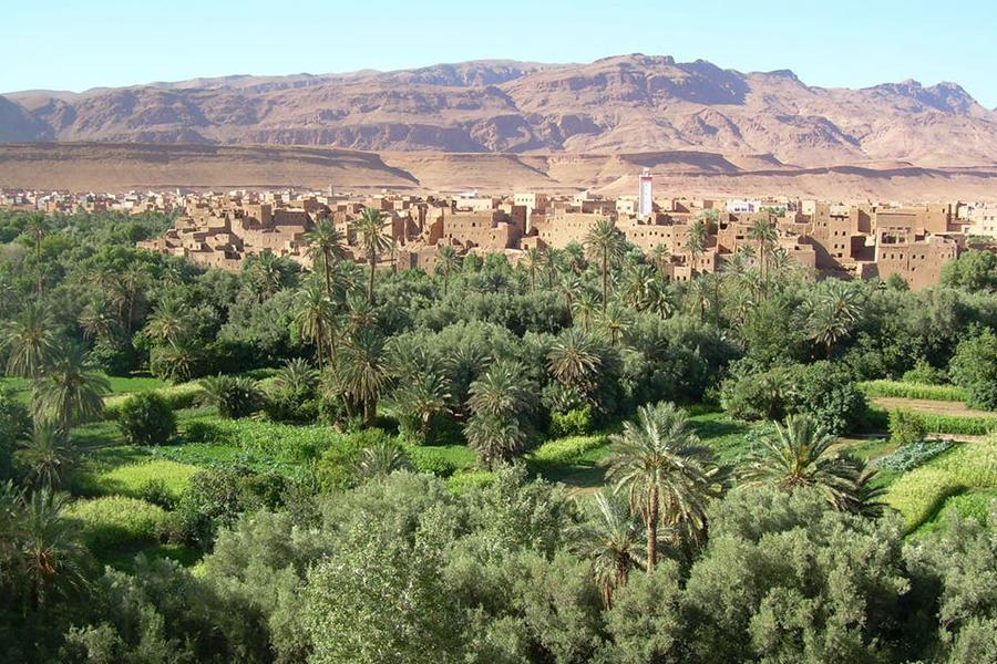 Ouarzazate, Kasbah Ait ben haddou & Oasis Fint 2 daagse tour