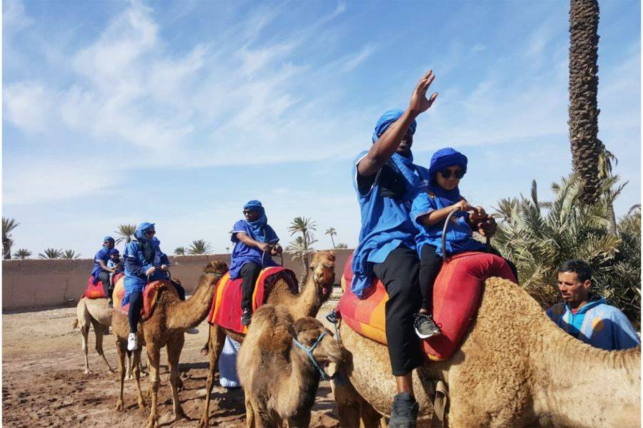 Kameelrit en quad in Marrakech Palmeraie