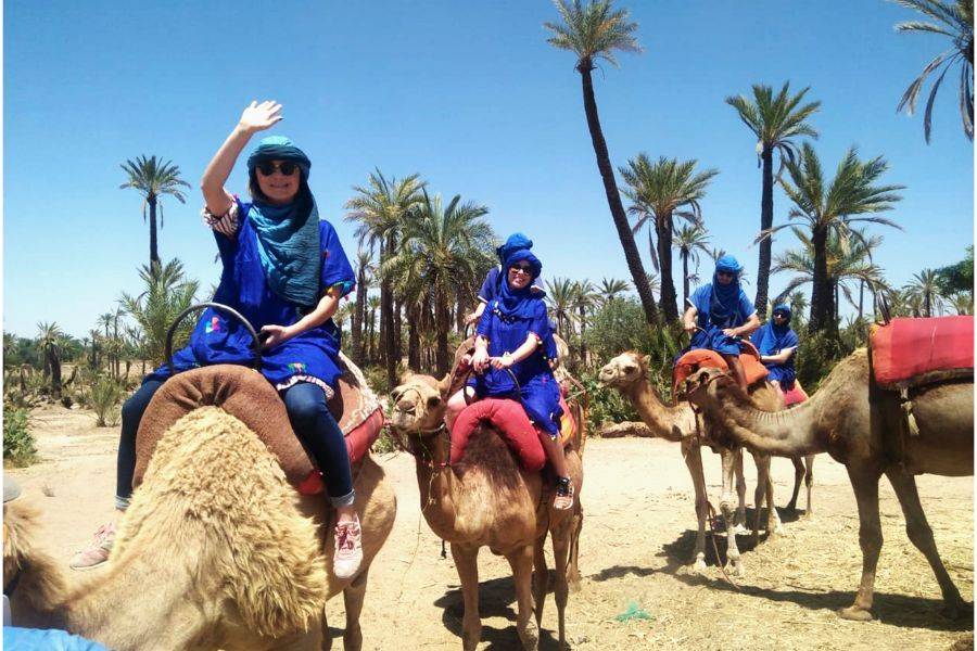 Kameelrijden in de Palmeraie van Marrakech