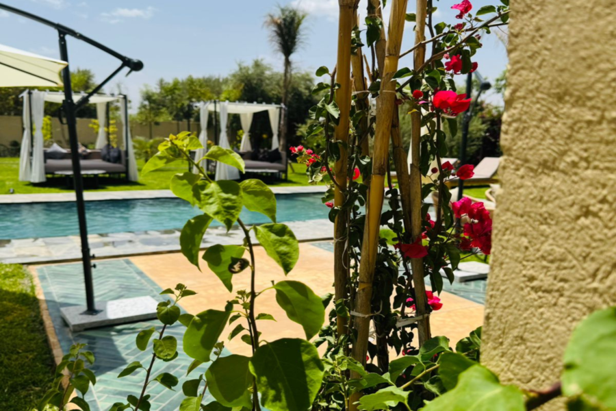 Vanuit Marrakech: Dagpas voor een ontspannende villa met zwembad en Marokkaanse lunch