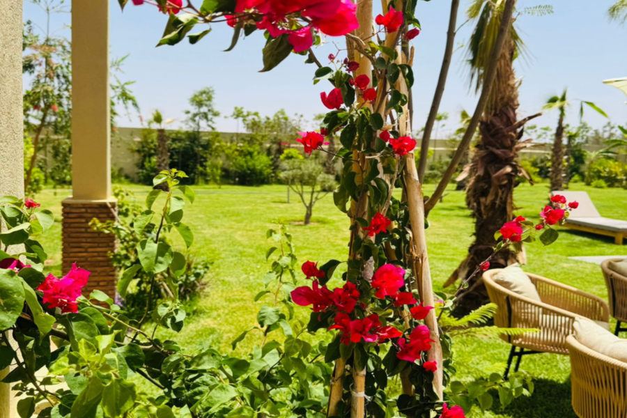 Vanuit Marrakech: Dagpas voor een ontspannende villa met zwembad en Marokkaanse lunch