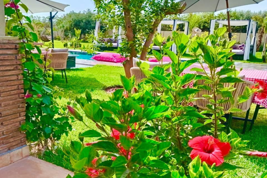 Vanuit Marrakech: Dagpas voor een ontspannende villa met zwembad en Marokkaanse lunch