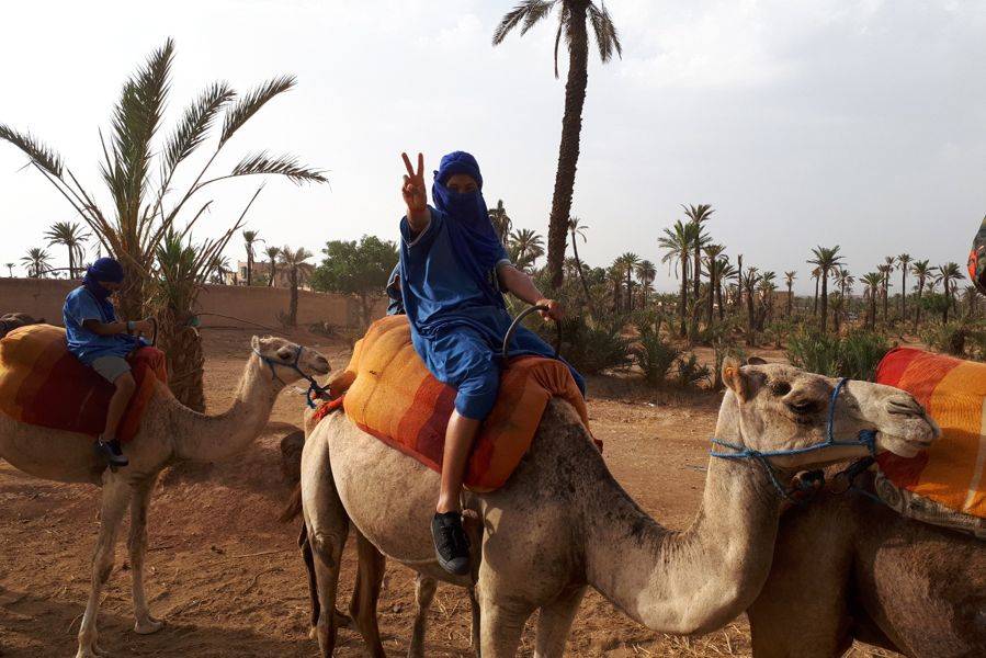 Kameelrijden in de Palmeraie van Marrakech