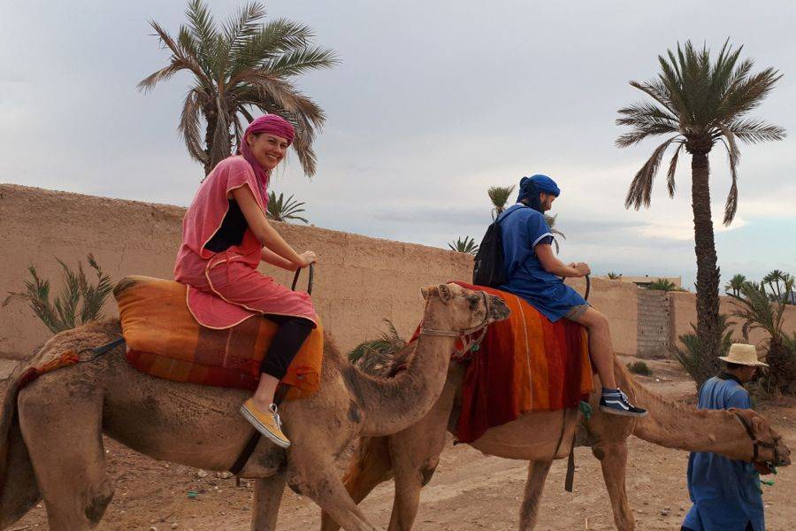 Kameelrijden in de Palmeraie van Marrakech