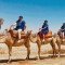 Kameelrijden in de Palmeraie van Marrakech