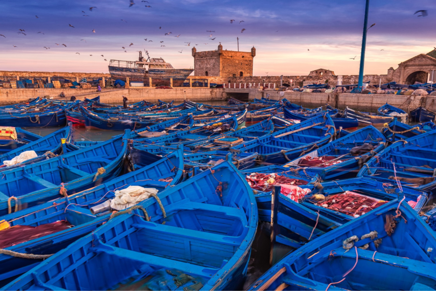 Eendaagse excursie naar Essaouira vanuit Marrakech